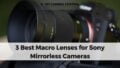 Best Macro Lenses for Sony Mirrorless Cameras