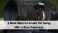 Best Macro Lenses for Sony Mirrorless Cameras