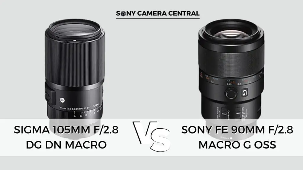 Sigma 105mm f/2.8 DG DN Macro vs Sony FE 90mm f/2.8 Macro G OSS: A