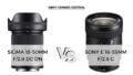 Sigma 18-50mm f2.8 DC DN vs Sony E 16-55mm f2.8 G side by side images