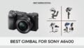 An image of Sony A6400 with the best gimbal for Sony A6400 images next to it.