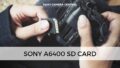 A person holding a Sony A6400 SD card.