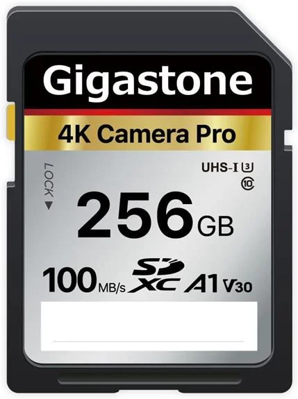 gigastone sd card review