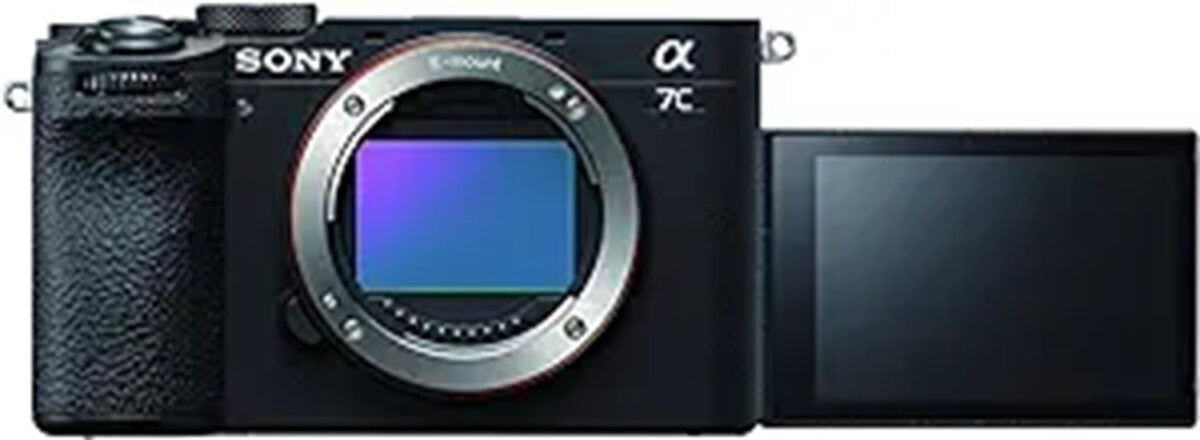 compact and powerful mirrorless