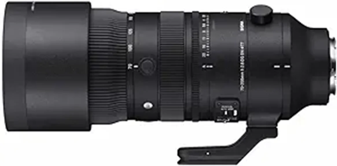 professional grade sigma lens