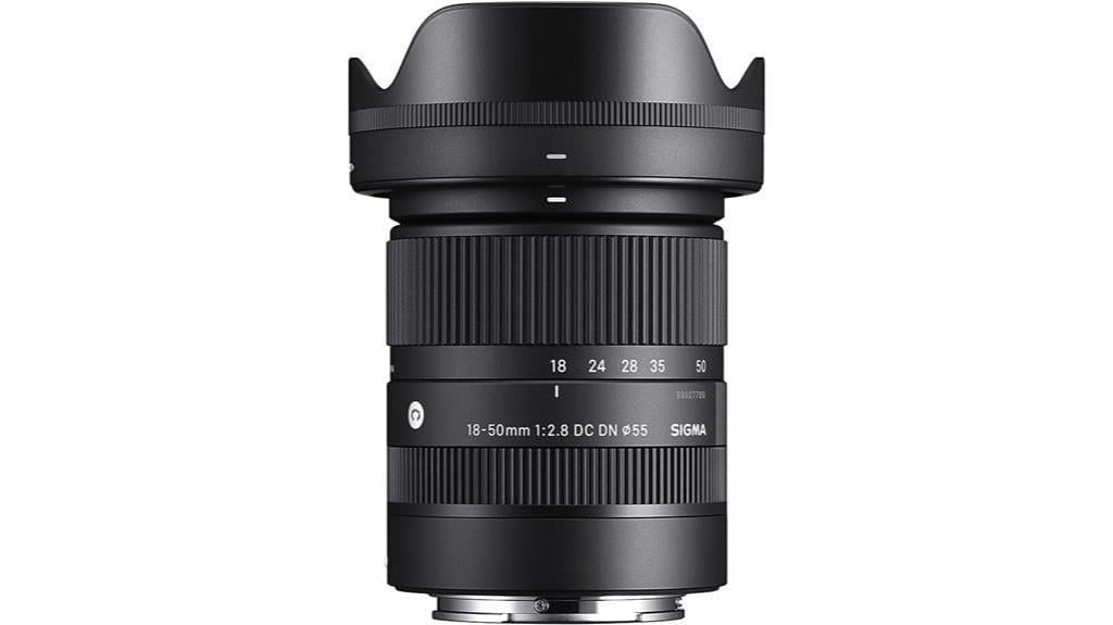 versatile sony lens option