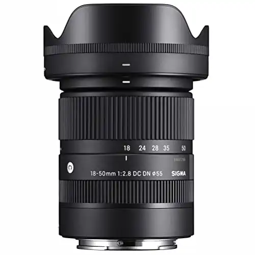 18-50mm F2.8 DC DN Contemporary for Sony E Black