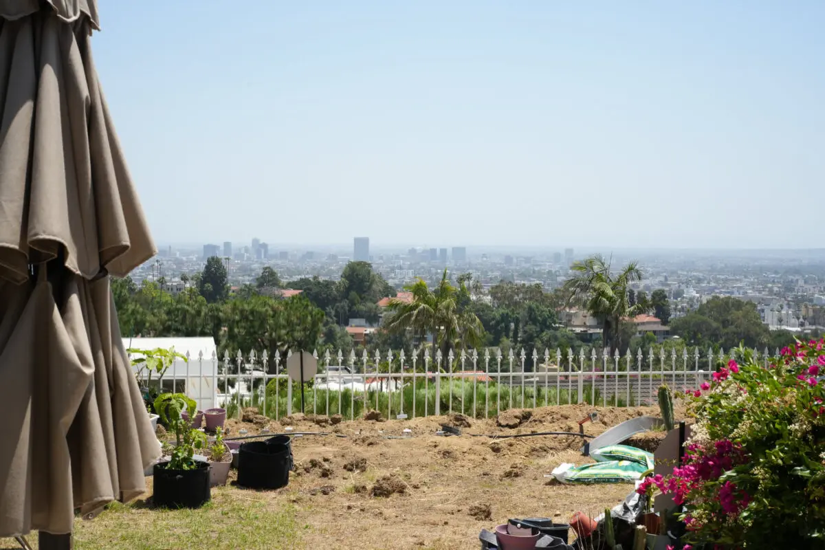 Elevated backyard under construction with bare soil, potted plants, and a white iron fence, overlooking a sprawling urban skyline with palm trees under a hazy blue sky; a folded patio umbrella is visible on the left and pink bougainvillea on the right.