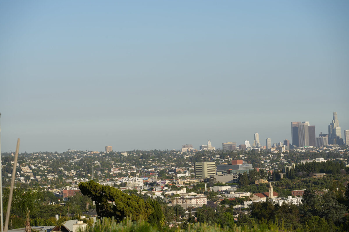 Wide panoramic view of Los Angeles from an elevated hillside vantage point, with downtown skyscrapers visible on the right horizon, dense urban residential neighborhoods spreading across the middle ground, and foreground vegetation under a hazy blue sky